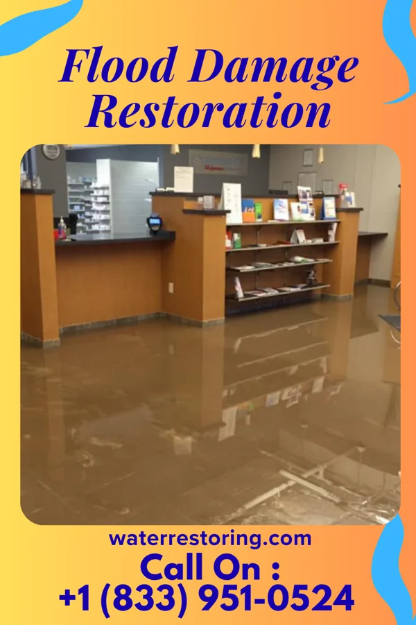 Flood Damage Restoration in Warson Woods, MO