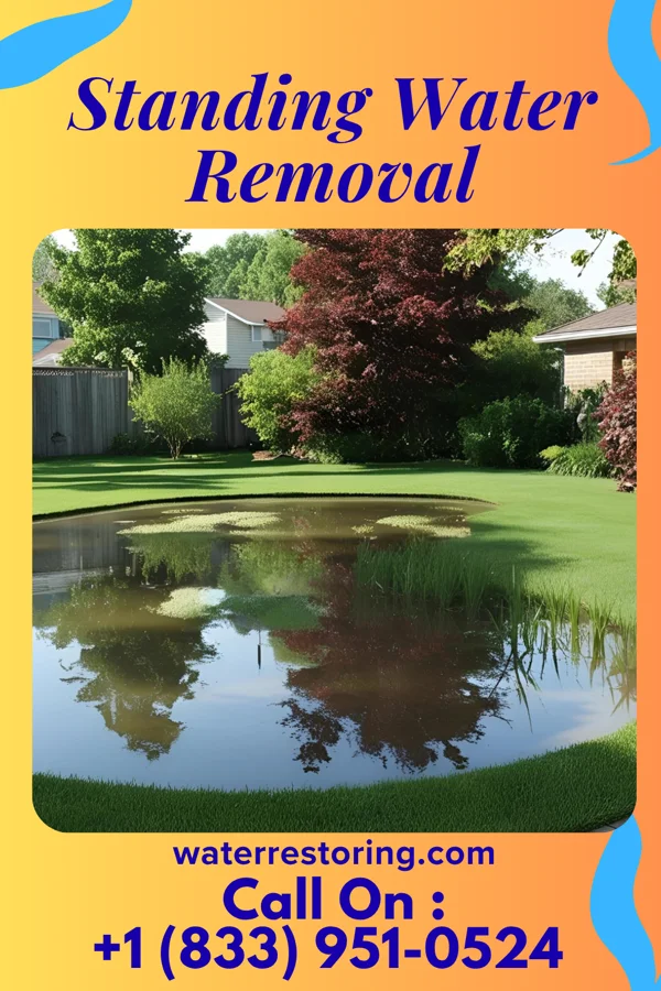 Standing Water Removal in Warson Woods, MO